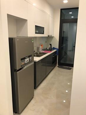 apartment for rent in district 1 D102937 (3)